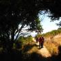 The West end of Shoreline Trail.